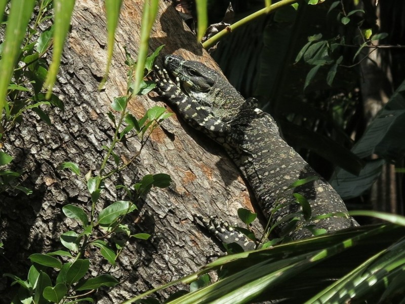 79 Mill Road, Huonbrook NSW 2482