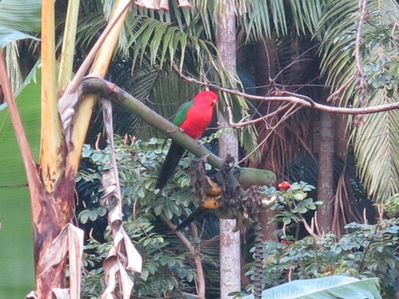 79 Mill Road, Huonbrook NSW 2482