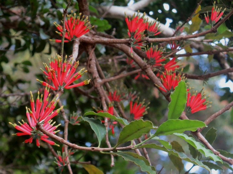 79 Mill Road, Huonbrook NSW 2482