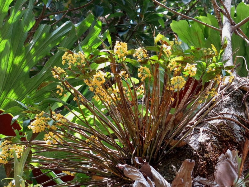 79 Mill Road, Huonbrook NSW 2482