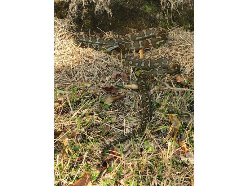 79 Mill Road, Huonbrook NSW 2482