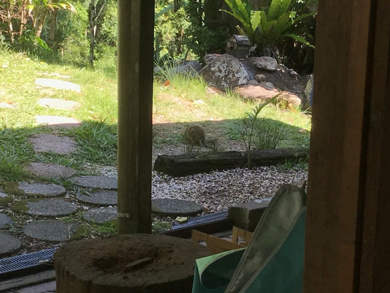 79 Mill Road, Huonbrook NSW 2482