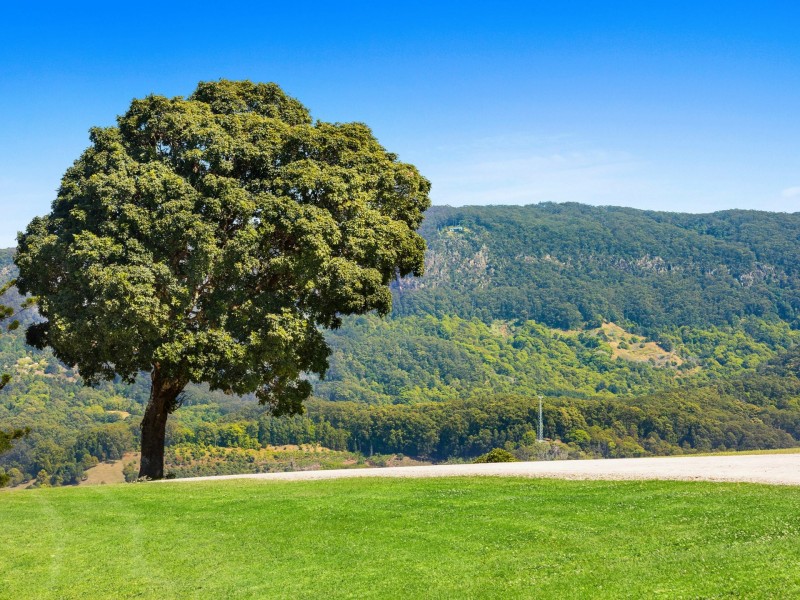 390 Main Arm Road, Mullumbimby NSW 2482