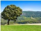 Mullumbimby NSW 2482