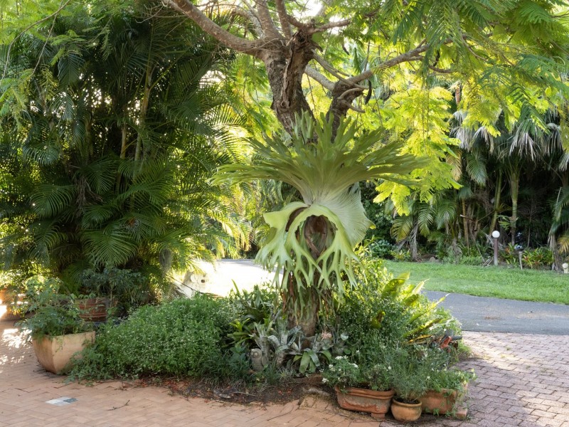 Mullumbimby NSW 2482