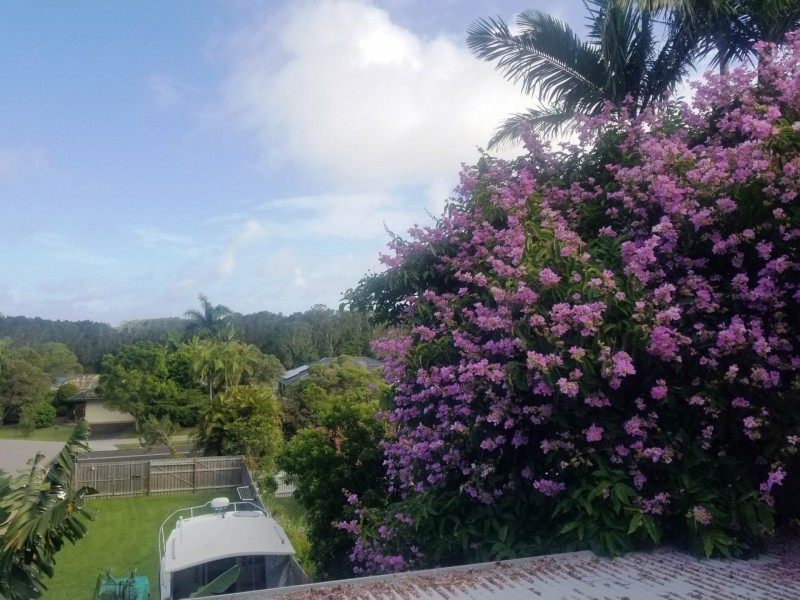 Ocean Shores NSW 2483