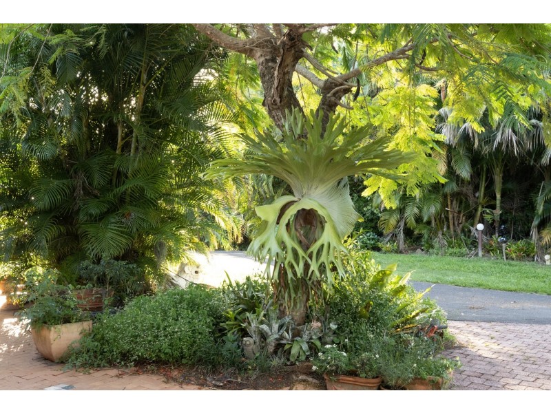 Mullumbimby NSW 2482