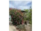 2/59 Fingal, Brunswick Heads NSW 2483