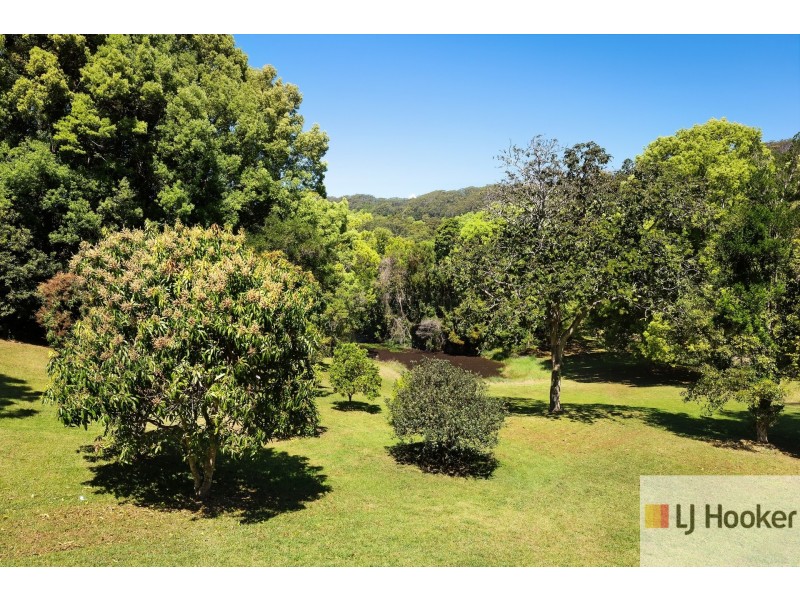 9 Blackbean Road, Wilsons Creek NSW 2482