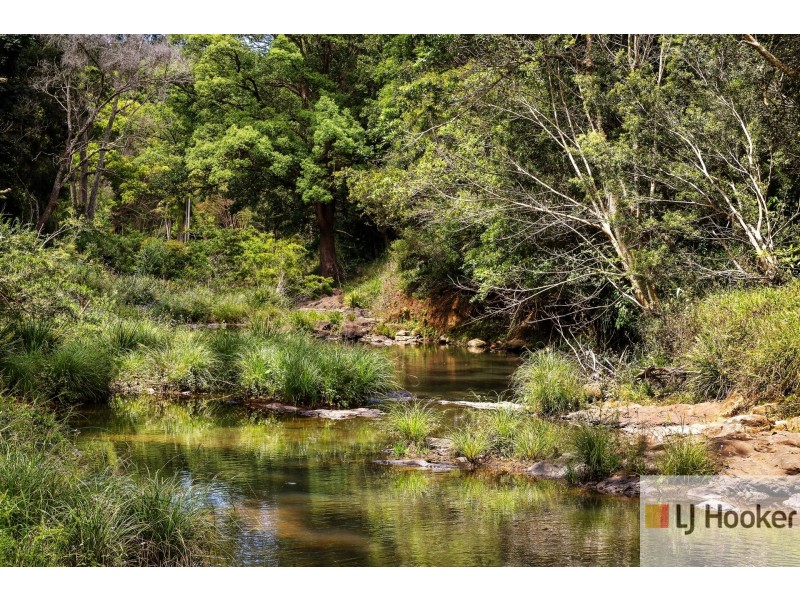 9 Blackbean Road, Wilsons Creek NSW 2482