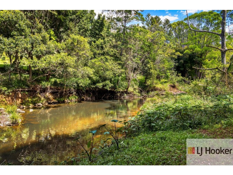9 Blackbean Road, Wilsons Creek NSW 2482