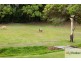 353 Reserve Creek Road, Kielvale NSW 2484