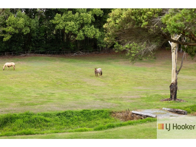 353 Reserve Creek Road, Kielvale NSW 2484