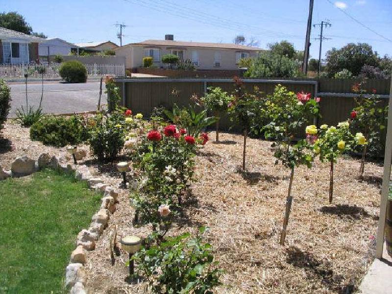 6 Young Ave, Port Vincent SA 5581