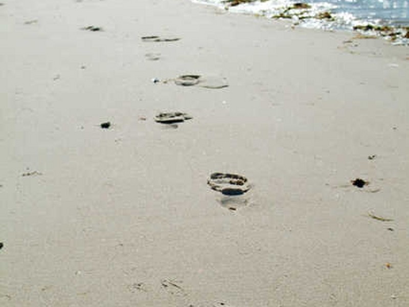 36 Main Street, Port Vincent SA 5581