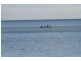 Lot 2 Minlacowie Road, Port Vincent SA 5581