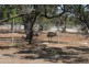 16 Park Terrace, Minlaton SA 5575