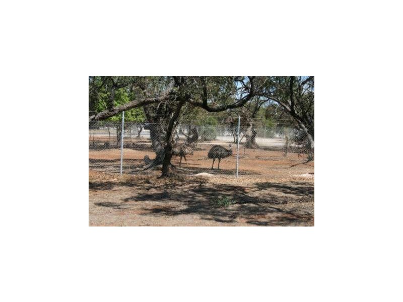 16 Park Terrace, Minlaton SA 5575