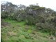 Lot 1398 Old Coast Road, Dowcer Bluff, Port Vincent SA 5581