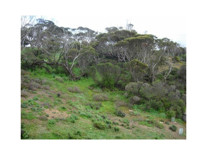 Lot 1398 Old Coast Road, Dowcer Bluff, Port Vincent SA 5581