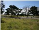 Lot 1 North Terrace, Minlaton SA 5575