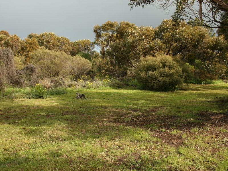 2 Adonis Court, Port Julia SA 5575