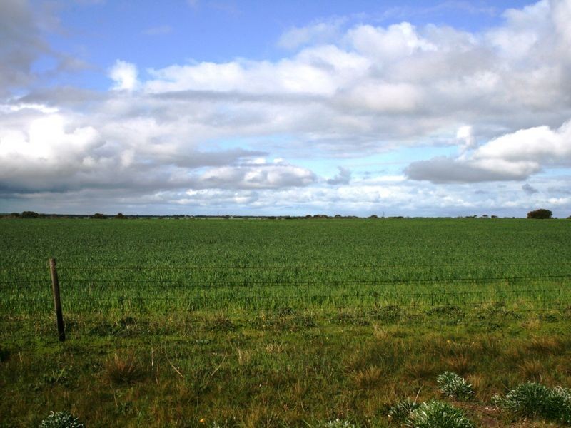 37 Moores Street, Hardwicke Bay SA 5575