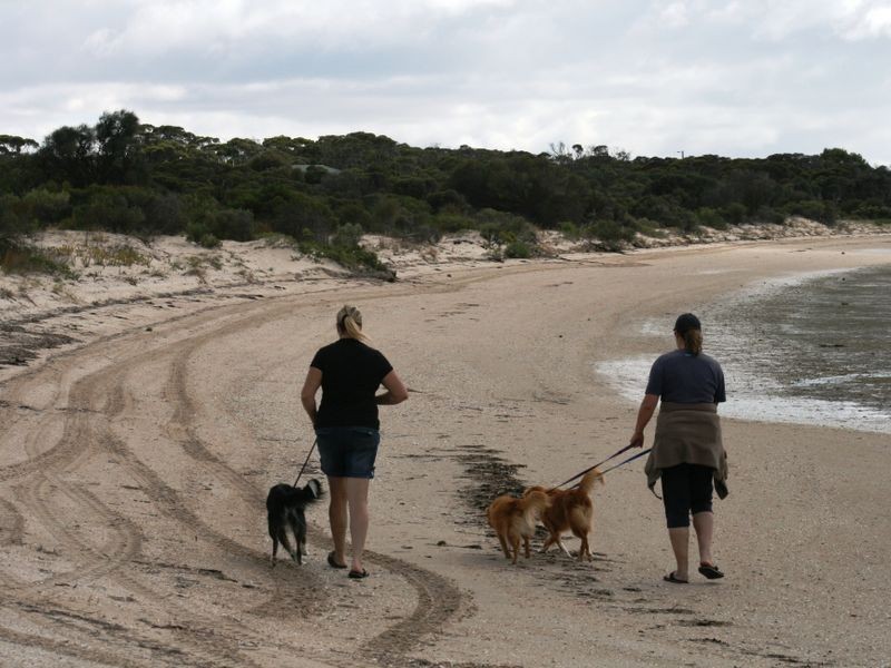 10 Grundy Street, Sheaoak Flat SA 5581