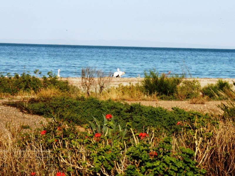 10 Grundy Street, Sheaoak Flat SA 5581