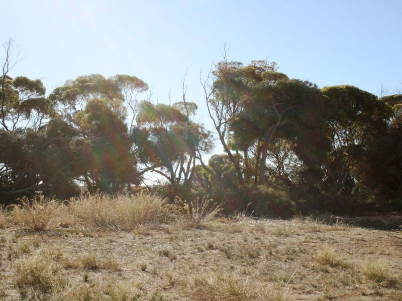 91/6 Broadway Road, Port Vincent SA 5581