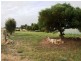 Lot/200 Fowler Street, Coobowie SA 5583