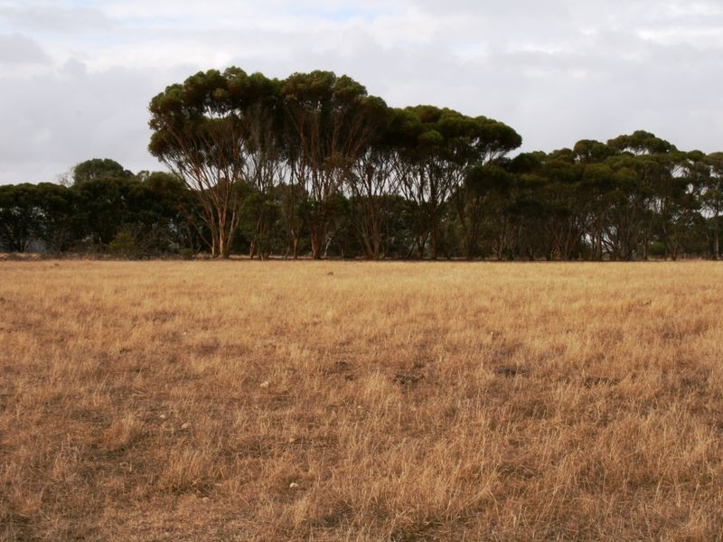 Sec/114 Fuller Road, Minlaton SA 5575