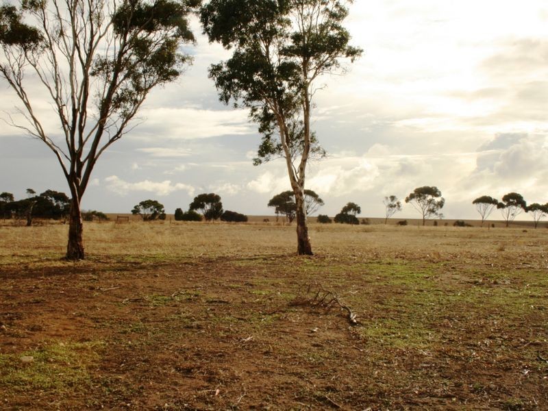 Sec/114 Fuller Road, Minlaton SA 5575