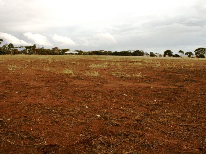 Sec/114 Fuller Road, Minlaton SA 5575