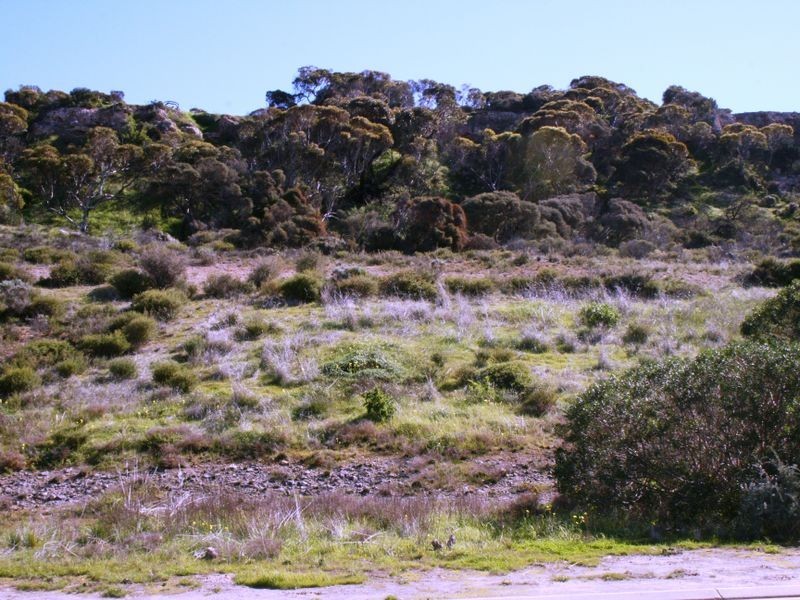 Lot 54 Marina Drive, Port Vincent SA 5581