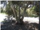62 Active Road, Port Julia SA 5575
