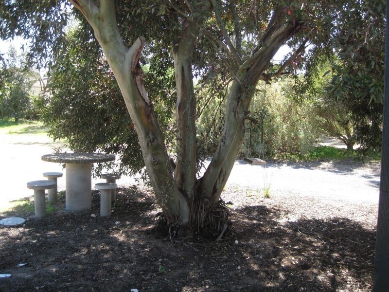 62 Active Road, Port Julia SA 5575