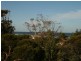 17 Young Ave, Port Vincent SA 5581