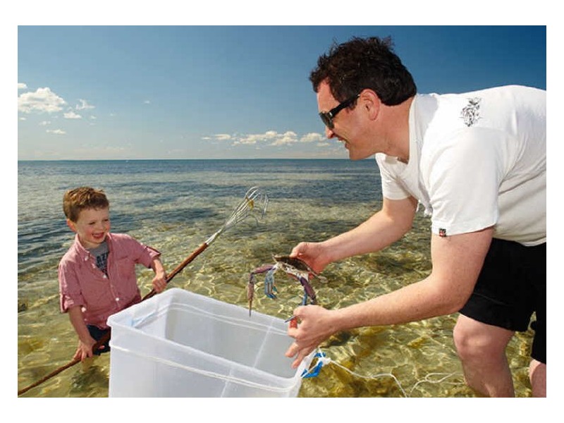 Black Point Dve, Black Point SA 5571