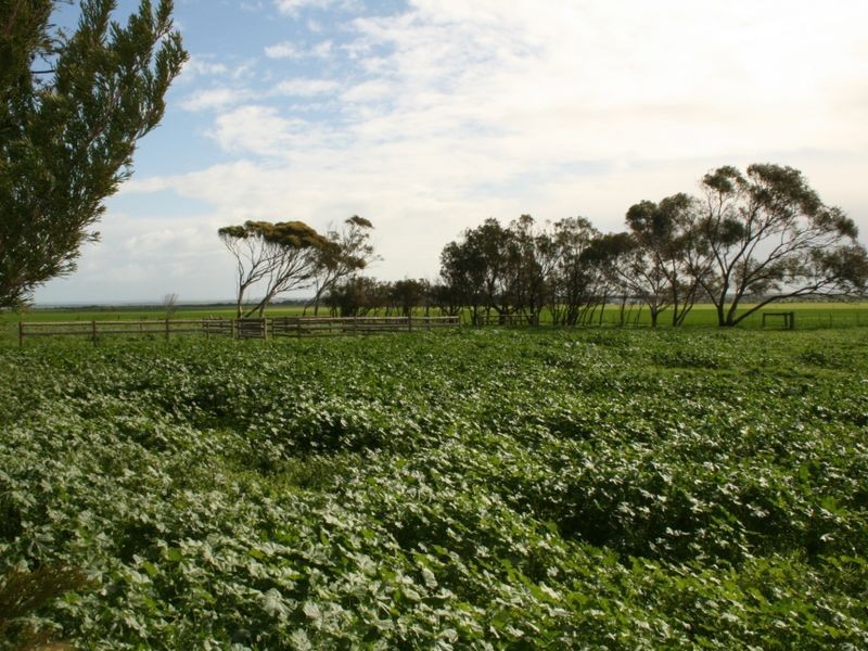 Lot/14468 Spencer Highway, Weetulta SA 5573