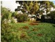 52 Esplanade, Pine Point SA 5571