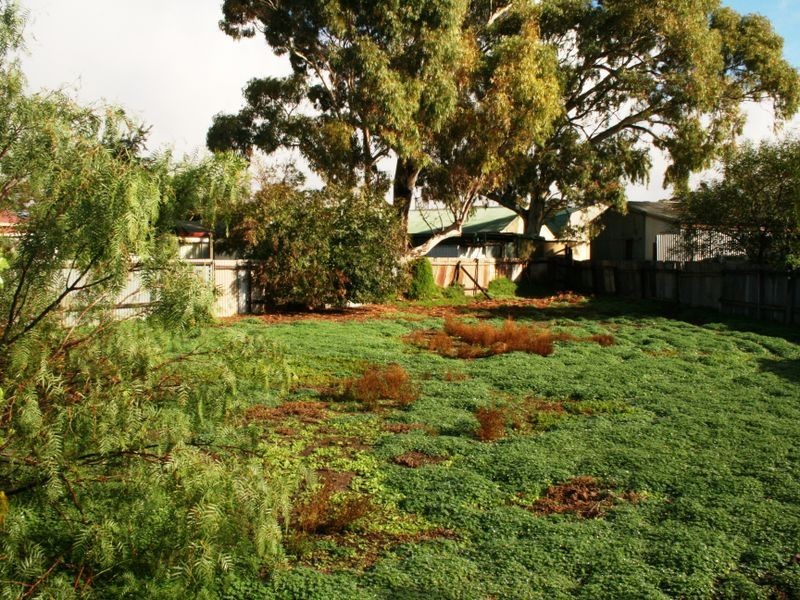 52 Esplanade, Pine Point SA 5571