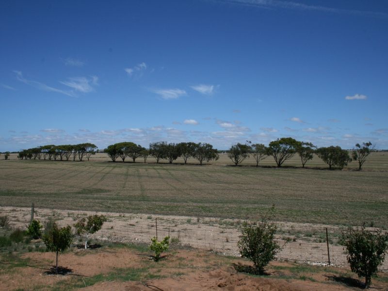 13 Douglas Court, Tiddy Widdy Beach SA 5571