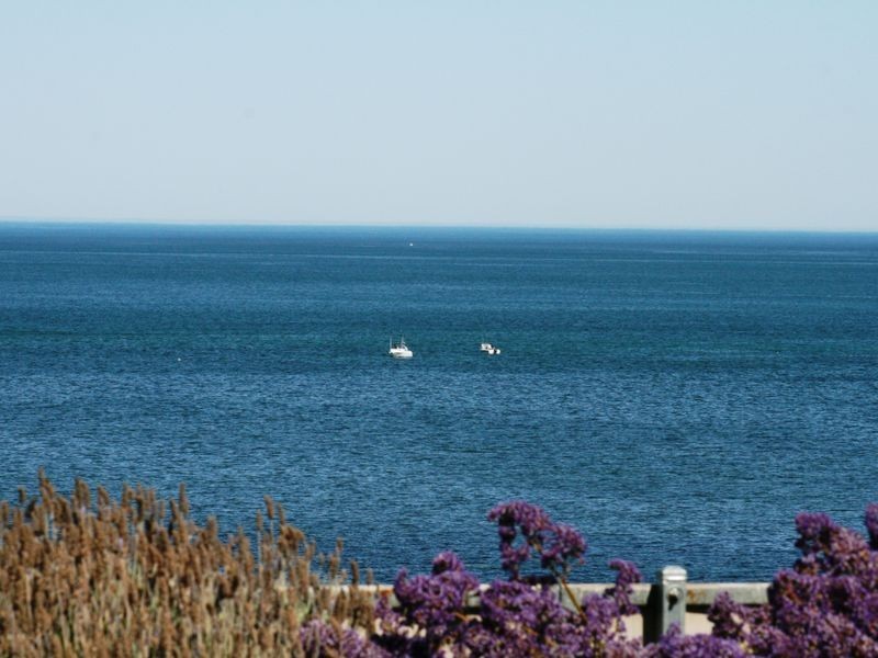 65 Main Coast Road, Pine Point SA 5571