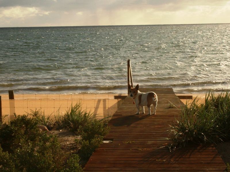 Lot 24 Chinaman Wells Road, Chinaman Wells SA 5573