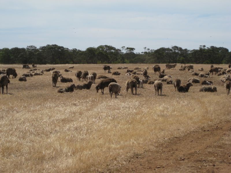 Lot 76/78 Antonios/Rocky Waterhole Rd, Stansbury SA 5582