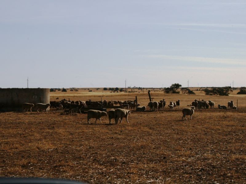 Lot 76/78 Antonios/Rocky Waterhole Rd, Stansbury SA 5582