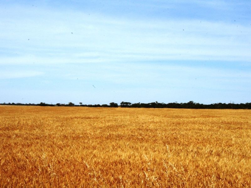 Lot 76/78 Antonios/Rocky Waterhole Rd, Stansbury SA 5582