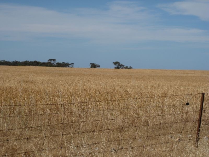 Lot 76/78 Antonios/Rocky Waterhole Rd, Stansbury SA 5582