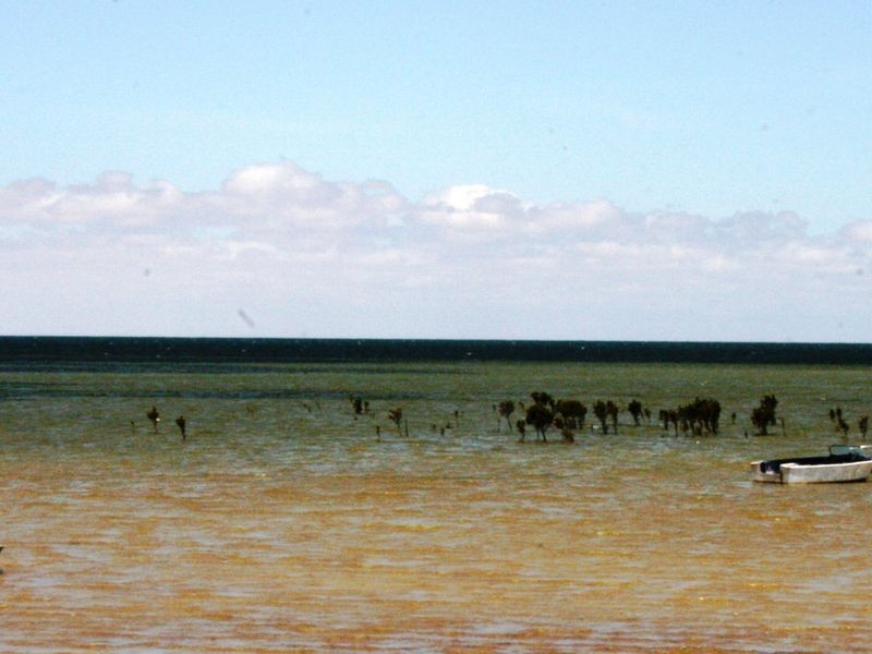 35 Parade, Price SA 5570